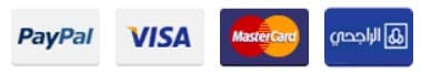 pay logo pay logo